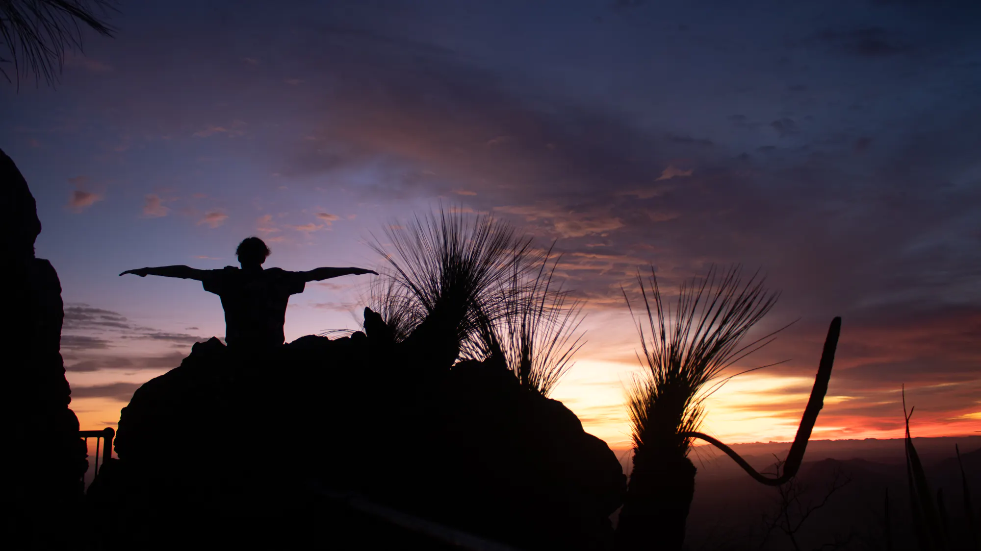 Silhouette of a person with arms outstretched on a rock, framed by plants against a vibrant sunset sky, representing South-East Queensland and Northern New South Wales adventure highlights.